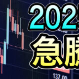 【メンバー限定】2025年、急騰期待の穴場銘柄とは?